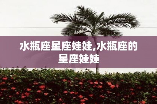 水瓶座星座娃娃,水瓶座的星座娃娃
