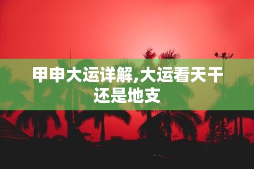 甲申大运详解,大运看天干还是地支