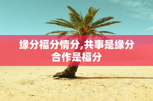 缘分福分情分,共事是缘分合作是福分