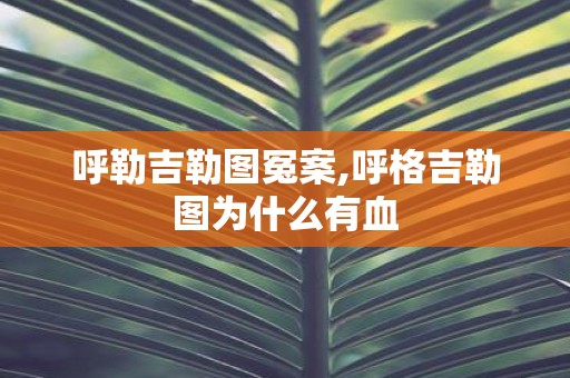 呼勒吉勒图冤案,呼格吉勒图为什么有血