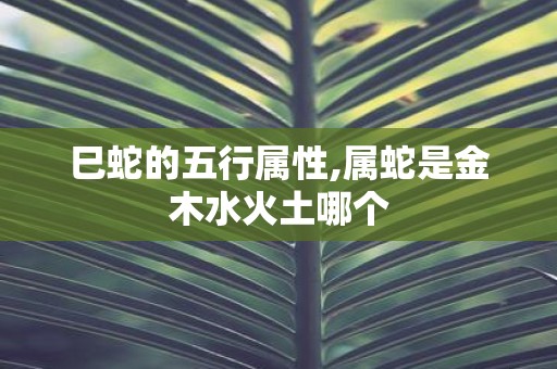 巳蛇的五行属性,属蛇是金木水火土哪个