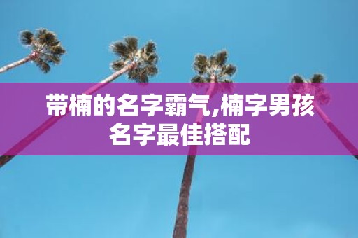 带楠的名字霸气,楠字男孩名字最佳搭配