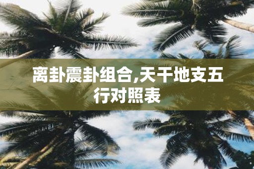 离卦震卦组合,天干地支五行对照表