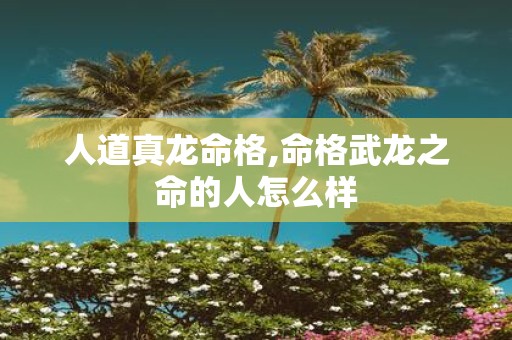 人道真龙命格,命格武龙之命的人怎么样
