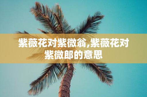紫薇花对紫微翁,紫薇花对紫微郎的意思