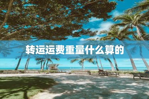 转运运费重量什么算的