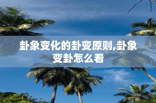 卦象变化的卦变原则,卦象变卦怎么看