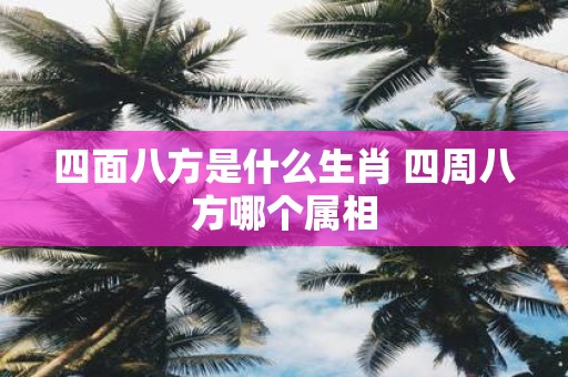 四面八方是什么生肖 四周八方哪个属相
