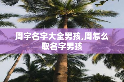 周字名字大全男孩,周怎么取名字男孩