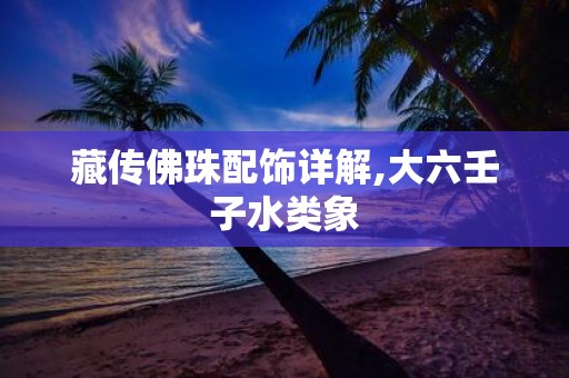 藏传佛珠配饰详解,大六壬子水类象