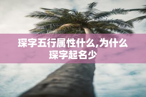 琛字五行属性什么,为什么琛字起名少