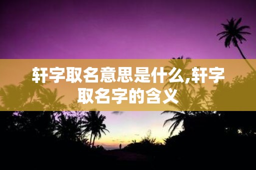 轩字取名意思是什么,轩字取名字的含义