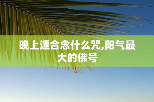 晚上适合念什么咒,阳气最大的佛号