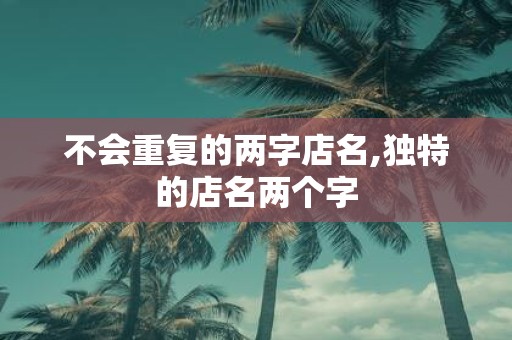 不会重复的两字店名,独特的店名两个字