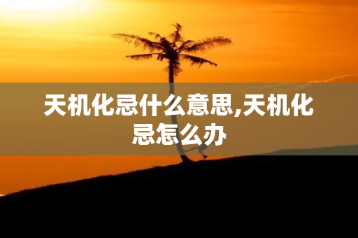 天机化忌什么意思,天机化忌怎么办