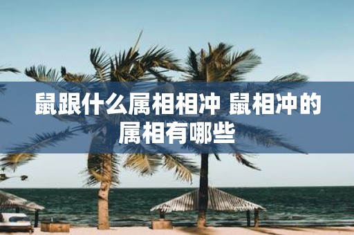 鼠跟什么属相相冲 鼠相冲的属相有哪些