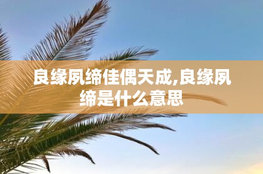 良缘夙缔佳偶天成,良缘夙缔是什么意思