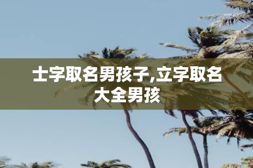 士字取名男孩子,立字取名大全男孩