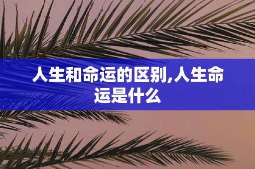 人生和命运的区别,人生命运是什么