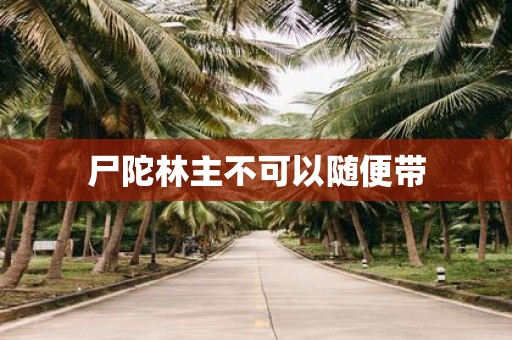 尸陀林主不可以随便带