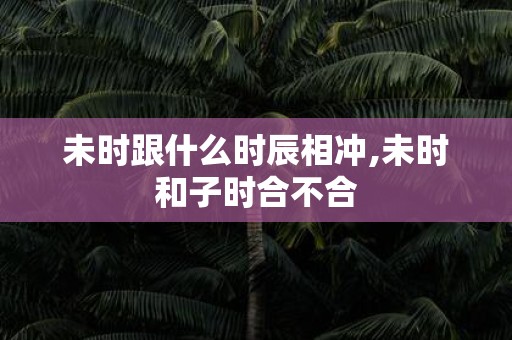 未时跟什么时辰相冲,未时和子时合不合