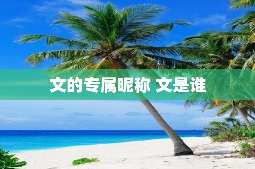 文的专属昵称 文是谁