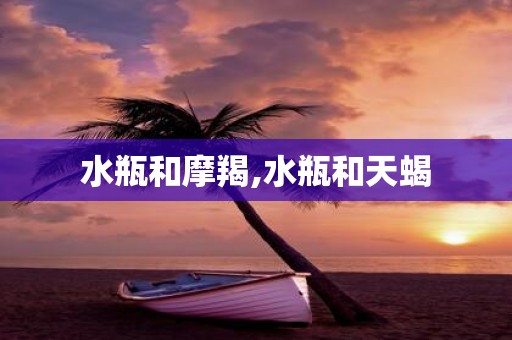 水瓶和摩羯,水瓶和天蝎