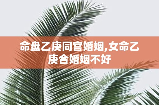 命盘乙庚同宫婚姻,女命乙庚合婚姻不好