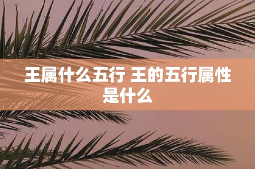 王属什么五行 王的五行属性是什么