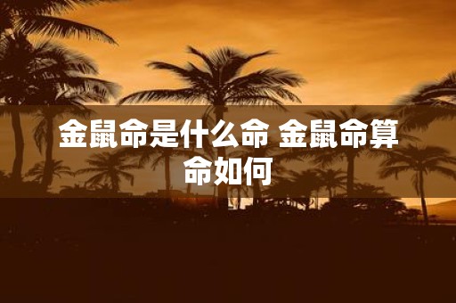 金鼠命是什么命 金鼠命算命如何