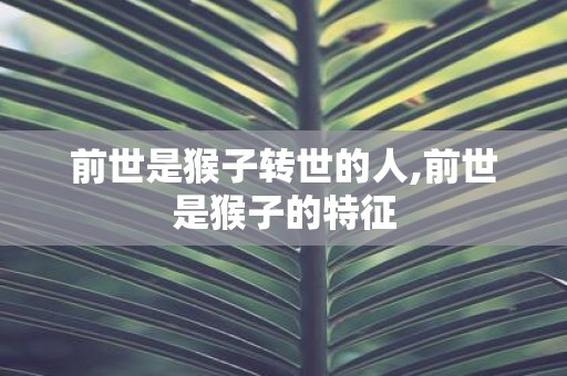 前世是猴子转世的人,前世是猴子的特征