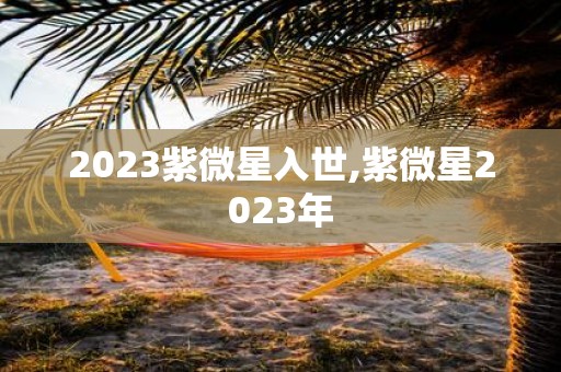2025紫微星入世,紫微星2025年