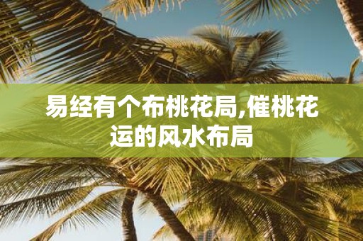 易经有个布桃花局,催桃花运的风水布局