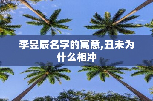 李昱辰名字的寓意,丑未为什么相冲