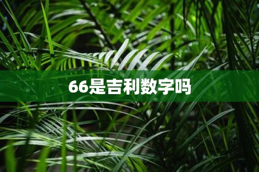 66是吉利数字吗