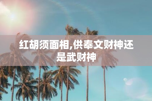 红胡须面相,供奉文财神还是武财神