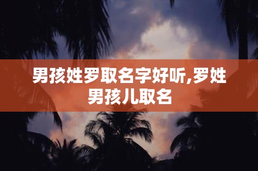 男孩姓罗取名字好听,罗姓男孩儿取名