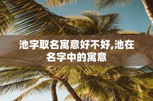 池字取名寓意好不好,池在名字中的寓意