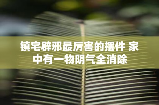 镇宅辟邪最厉害的摆件 家中有一物阴气全消除