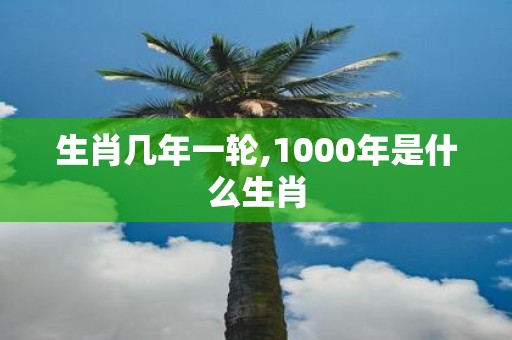 生肖几年一轮,1000年是什么生肖