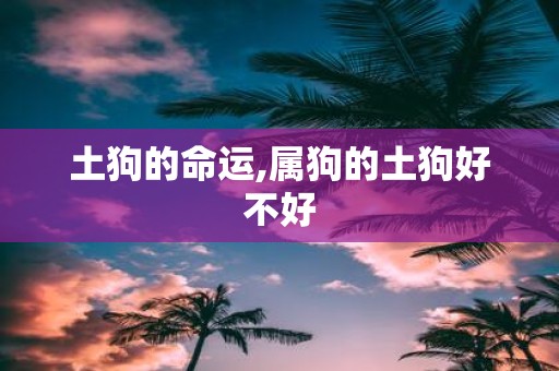 土狗的命运,属狗的土狗好不好