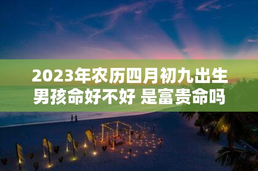 2025年农历四月初九出生男孩命好不好 是富贵命吗