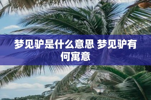 梦见驴是什么意思 梦见驴有何寓意