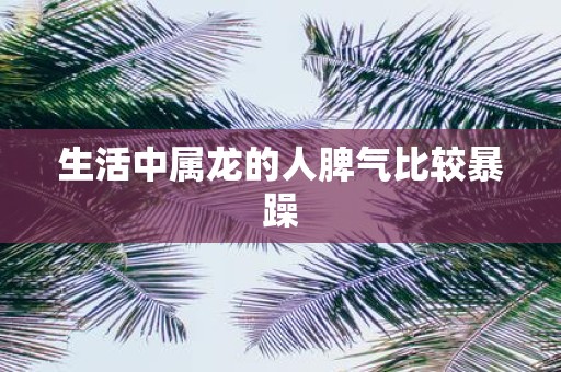 生活中属龙的人脾气比较暴躁