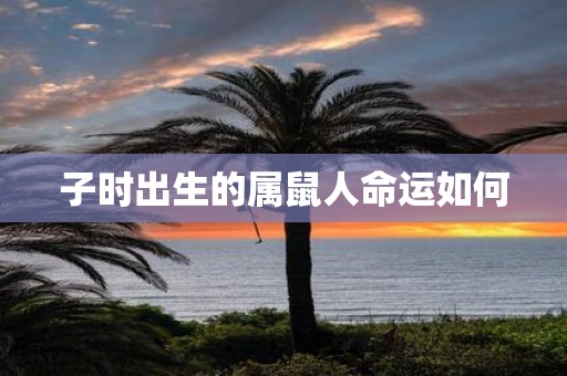 子时出生的属鼠人命运如何