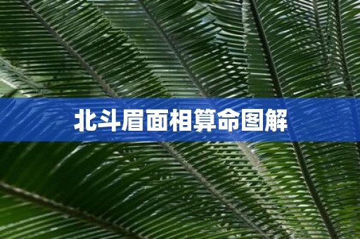 北斗眉面相算命图解