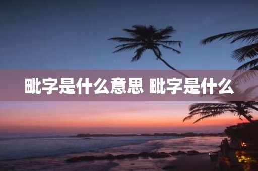 毗字是什么意思 毗字是什么