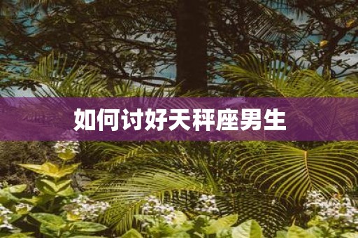 如何讨好天秤座男生