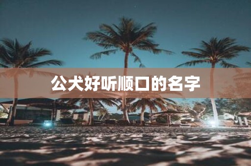 公犬好听顺口的名字