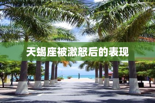 天蝎座被激怒后的表现